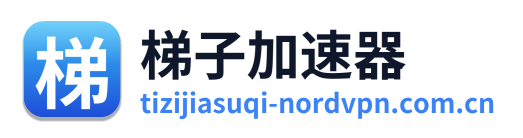 梯子加速器 Logo